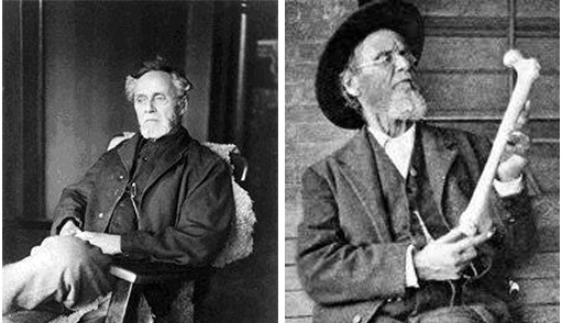 Osteopathic - Functional Medicine - Integrative Medicine - Holistic Doctor Annapolis MD