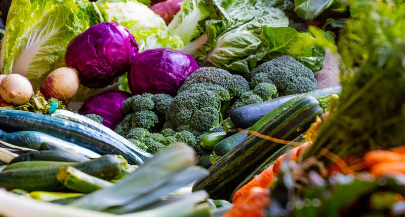 Functional Doctor Annapolis MD